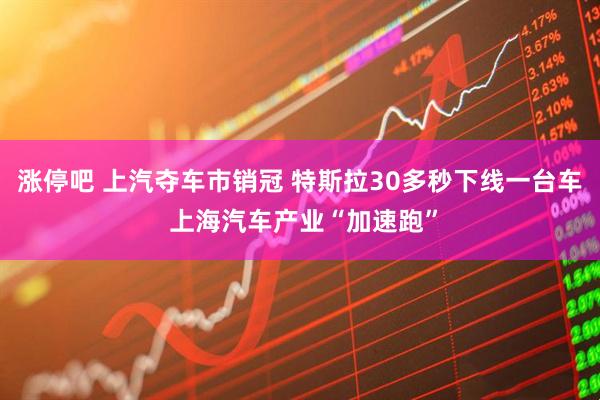 涨停吧 上汽夺车市销冠 特斯拉30多秒下线一台车 上海汽车产业“加速跑”
