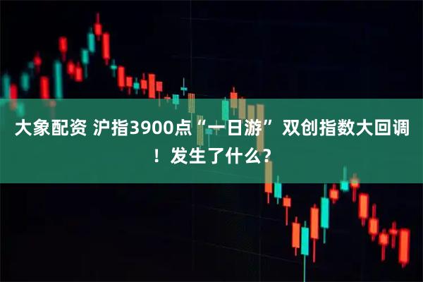 大象配资 沪指3900点“一日游” 双创指数大回调！发生了什么？