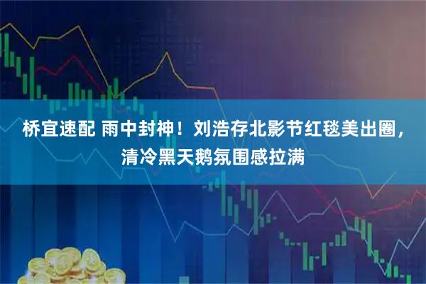 桥宜速配 雨中封神！刘浩存北影节红毯美出圈，清冷黑天鹅氛围感拉满