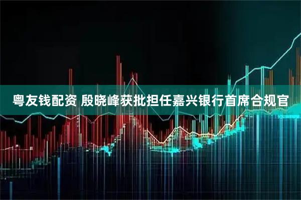 粤友钱配资 殷晓峰获批担任嘉兴银行首席合规官