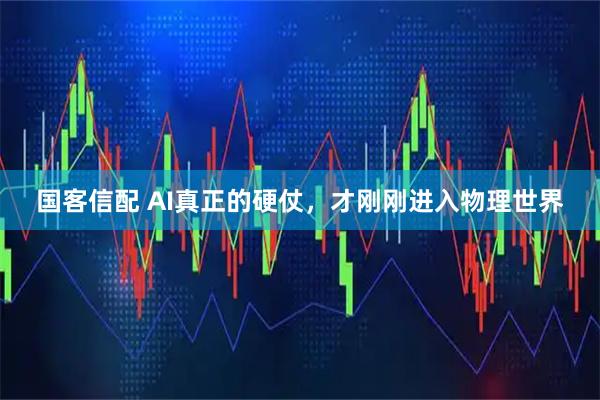 国客信配 AI真正的硬仗，才刚刚进入物理世界